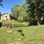 Chez Patoue Et D'hotes *