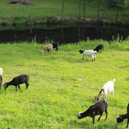 Chez Patoue Et D'hotes