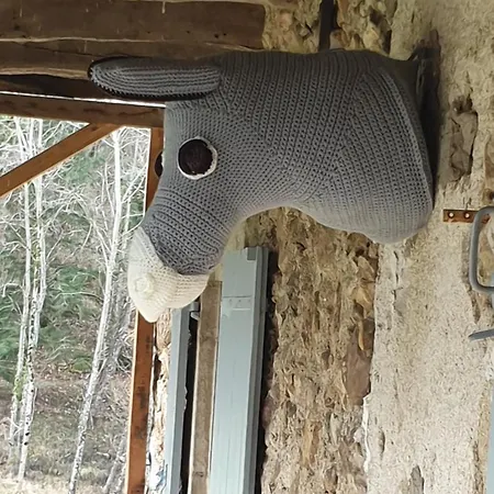 Chez Patoue Et D'hotes * Sanvensa