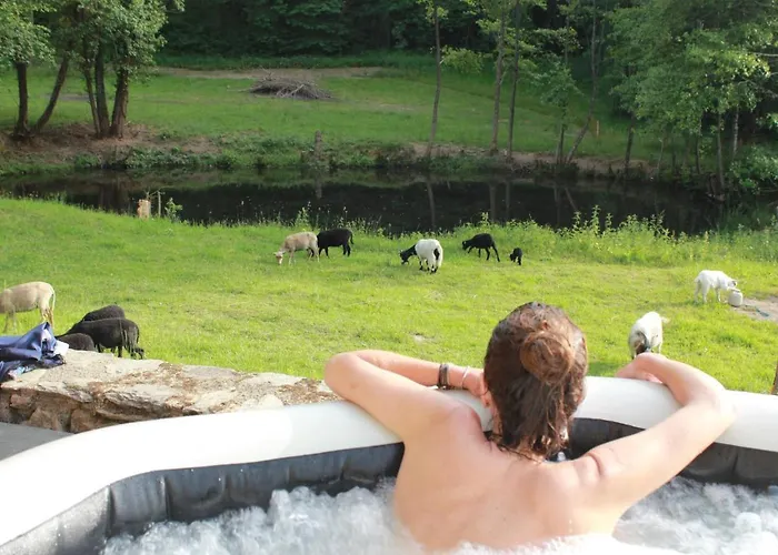 شقة Chez Patoue Et D'hotes Sanvensa