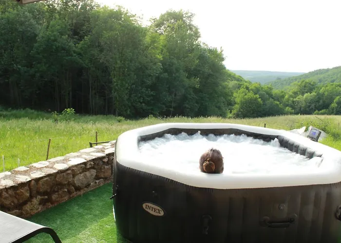 Chez Patoue Et D'hotes شقة Sanvensa