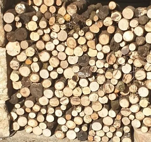 شقة Chez Patoue Et D'hotes